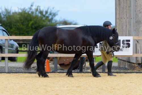HOYS26-67