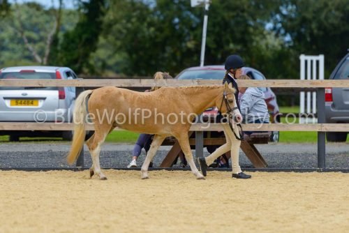 HOYS26-69