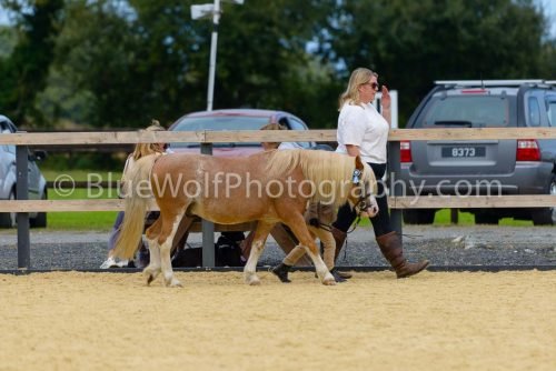 HOYS26-70