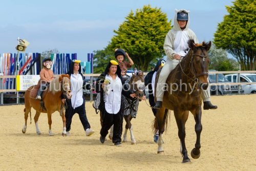 HOYS26-76