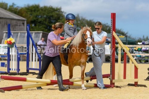 HOYS26-78