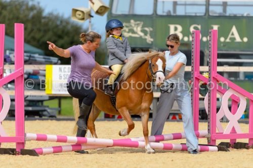 HOYS26-79