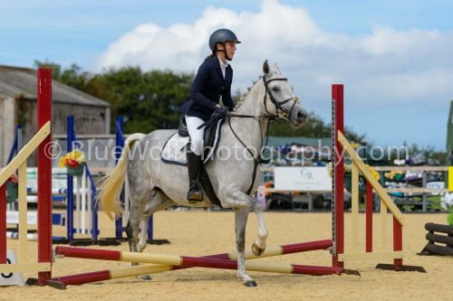 HOYS26-82