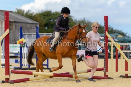 HOYS26-84