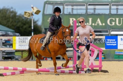 HOYS26-85