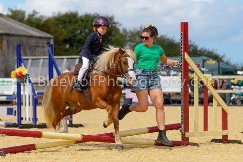 HOYS26-86