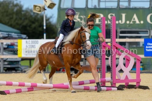 HOYS26-87