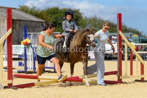 HOYS26-88