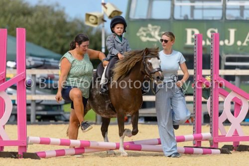 HOYS26-89