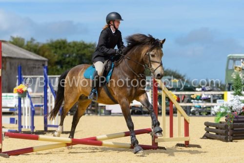 HOYS26-90