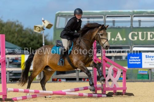 HOYS26-91