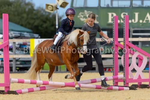 HOYS26-93