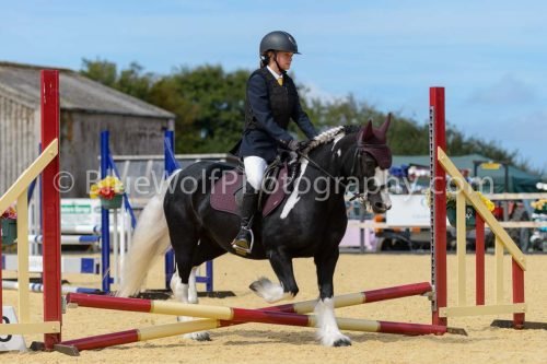 HOYS26-94