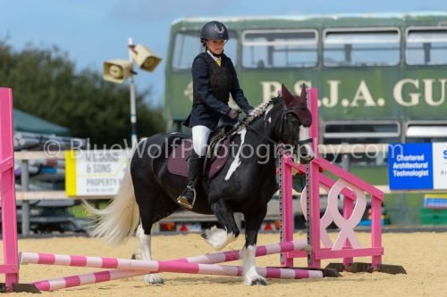 HOYS26-95