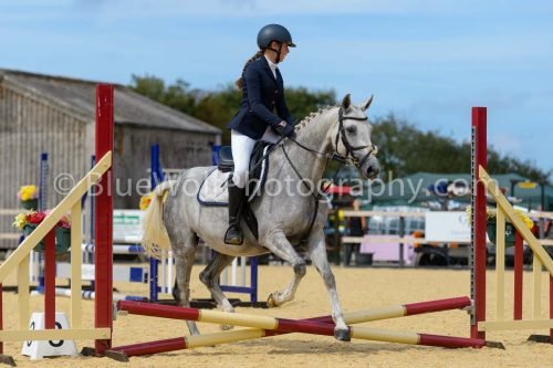 HOYS26-96