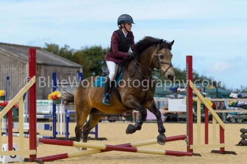 HOYS26-98