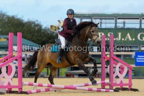 HOYS26-99