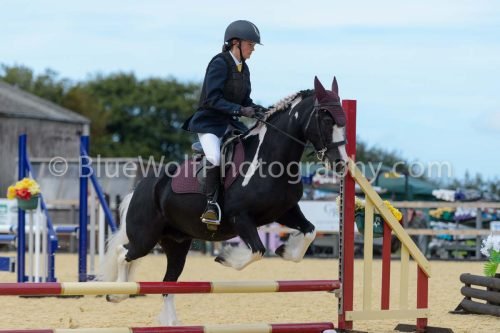 HOYS26-100