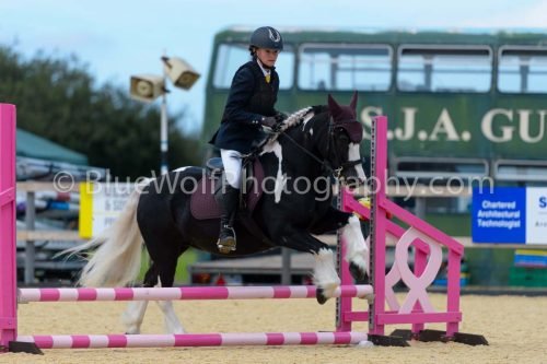 HOYS26-101