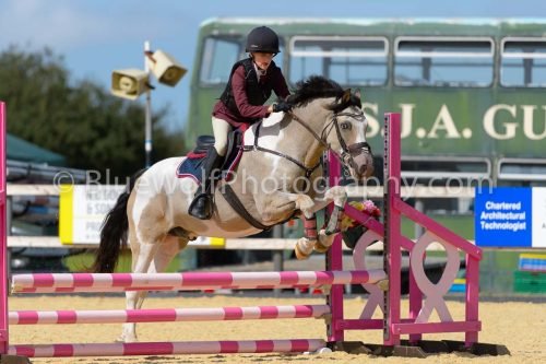 HOYS26-106