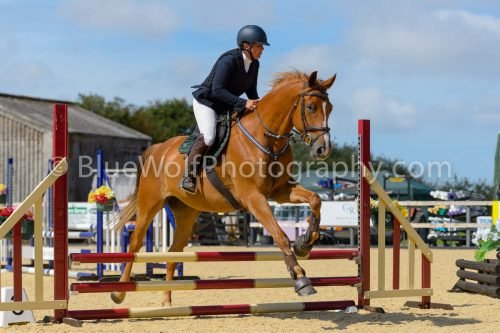 HOYS26-110