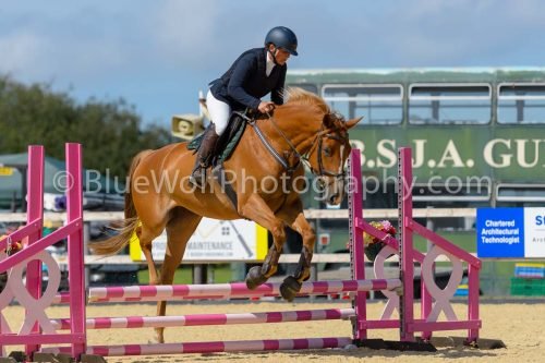 HOYS26-111
