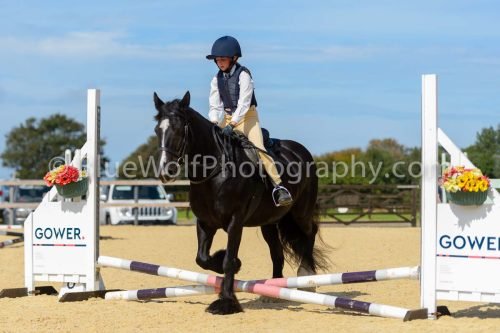HOYS26-112