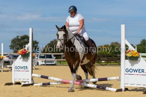 HOYS26-113