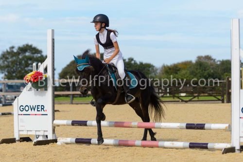HOYS26-115