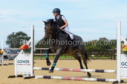 HOYS26-116