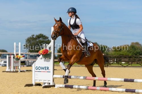 HOYS26-119