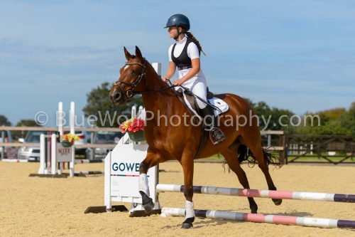 HOYS26-120