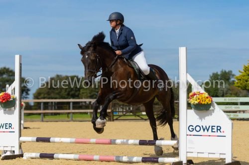 HOYS26-121