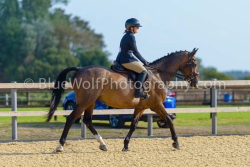 HOYS26-2