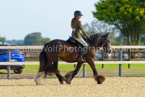 HOYS26-3