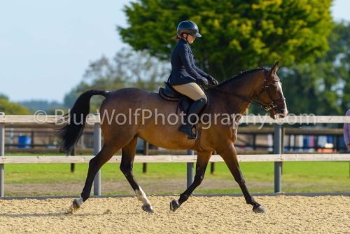 HOYS26-4