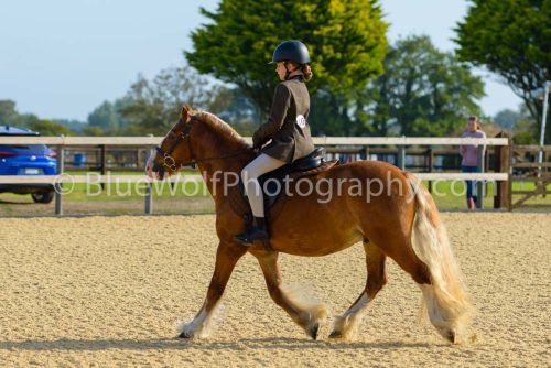 HOYS26-5