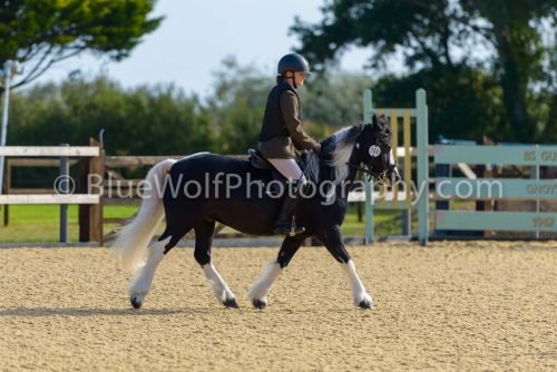 HOYS26-6