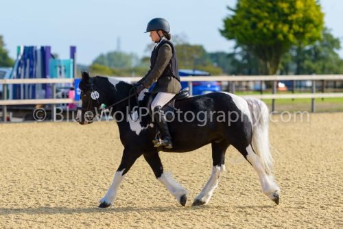 HOYS26-7