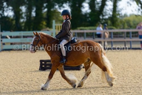 HOYS26-8