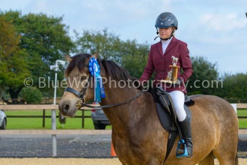 HOYS26-9