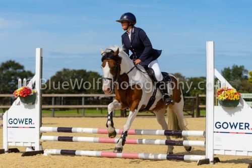 HOYS26-126