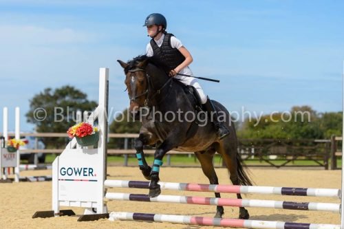 HOYS26-127
