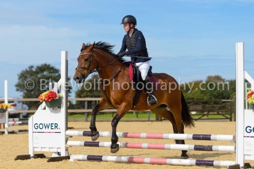 HOYS26-129