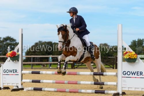 HOYS26-134