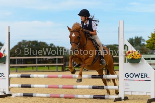 HOYS26-135