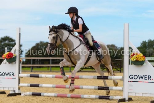 HOYS26-137