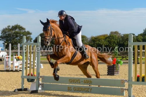 HOYS26-141
