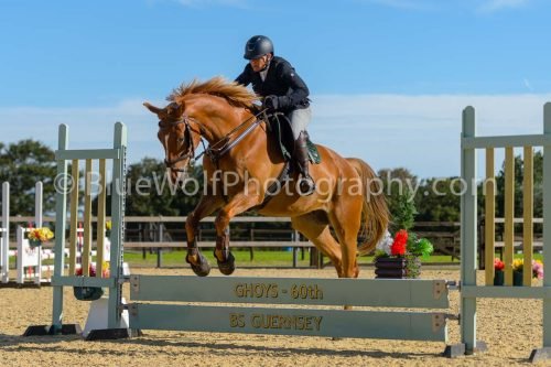 HOYS26-146