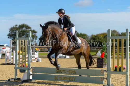 HOYS26-150